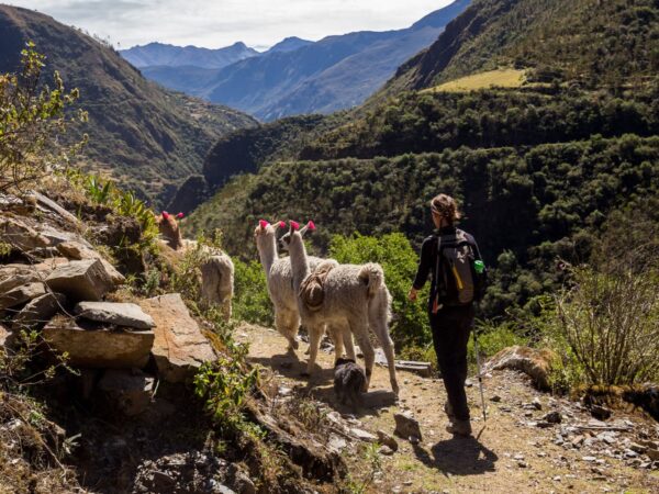 LARES TREK AND SHORT INCA TRAIL 8 DAYS