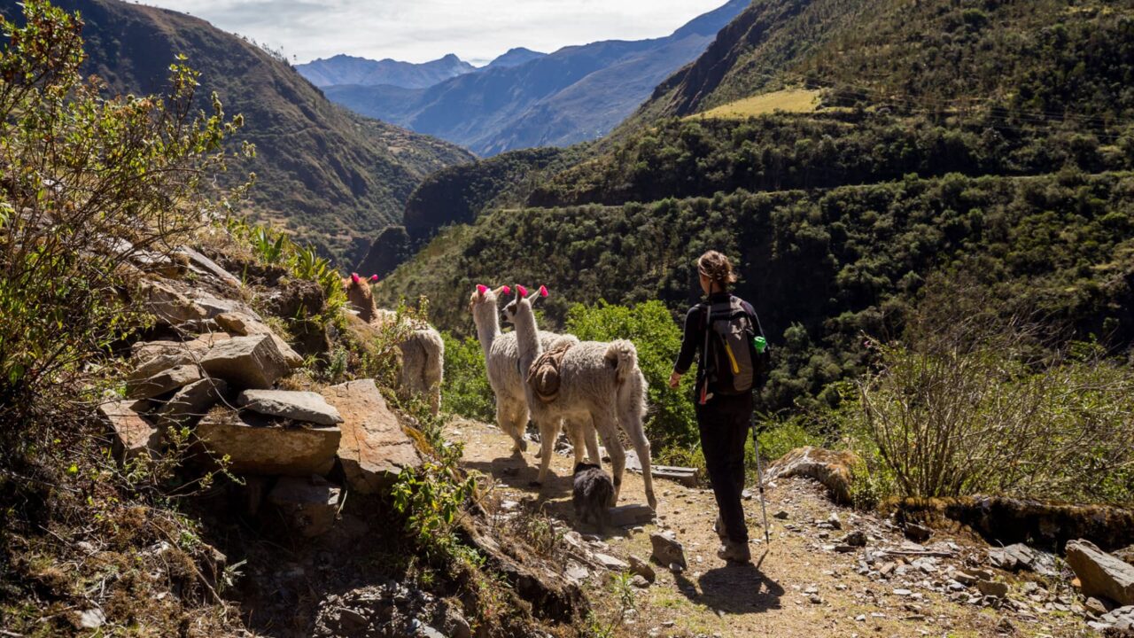 LARES TREK AND SHORT INCA TRAIL 8 DAYS