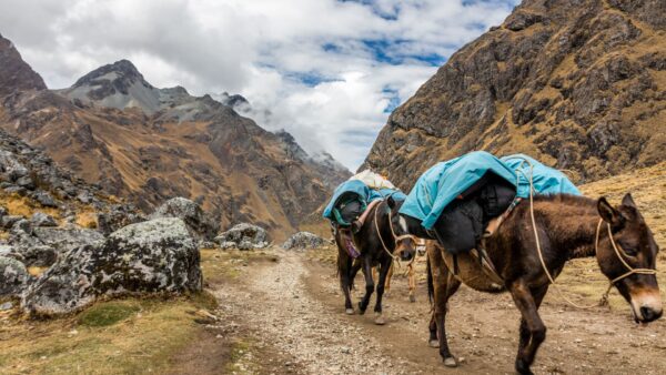 Salkantay Trek