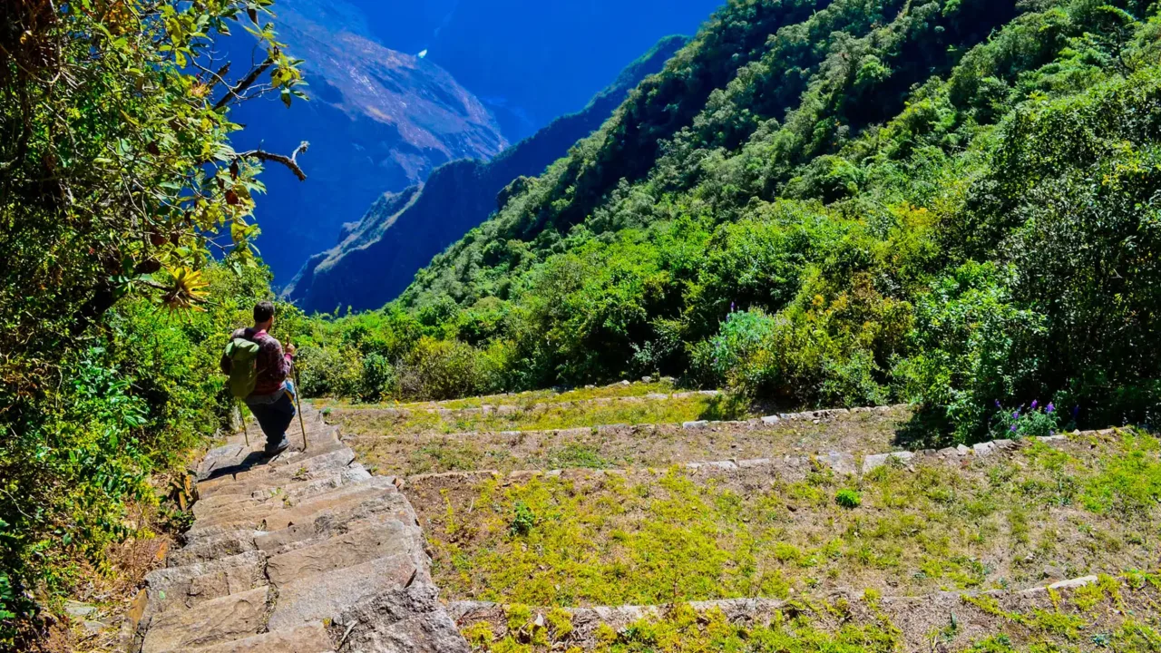 5-DAY CHOQUEQUIRAO TREK