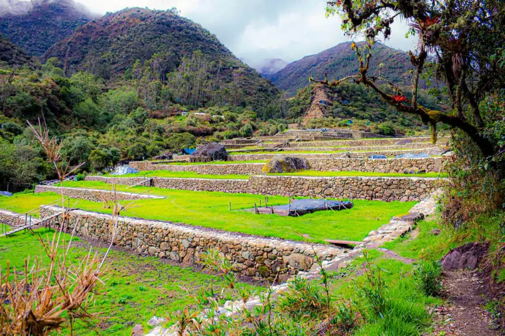 Terraces restored by the Cusco Decentralized Directorate of Culture at Ñusta Hispana