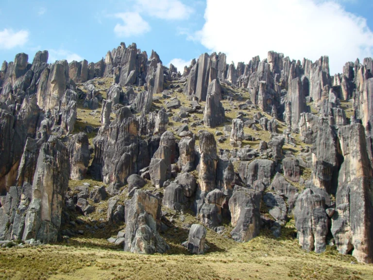 Huayllay Stone Forest: Pasco’s Geological Wonder Recognized as a UNESCO Global Geopark